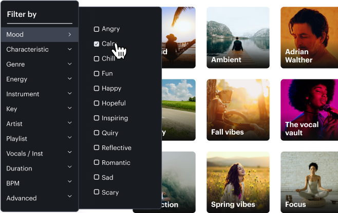 Search feature